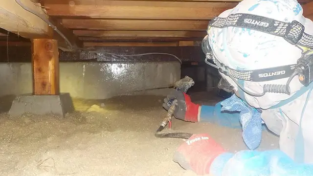 シロアリ駆除をしている様子