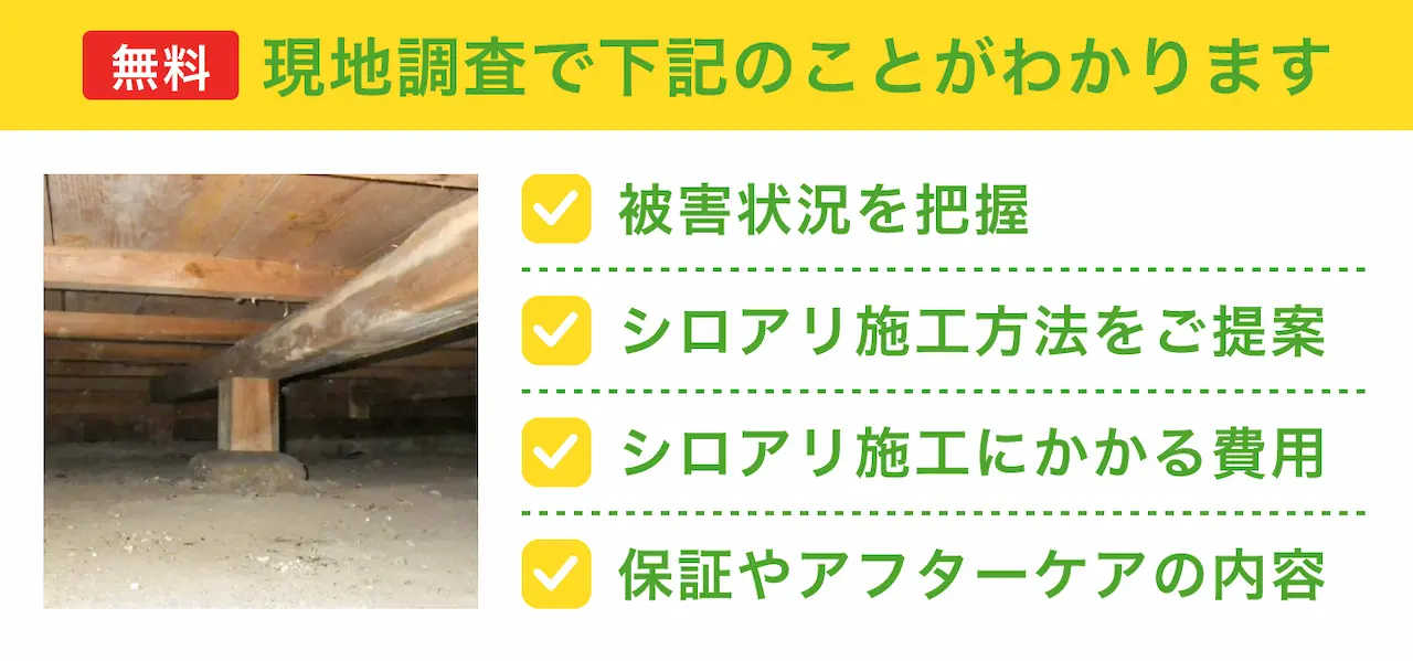 現地調査で分かる内容